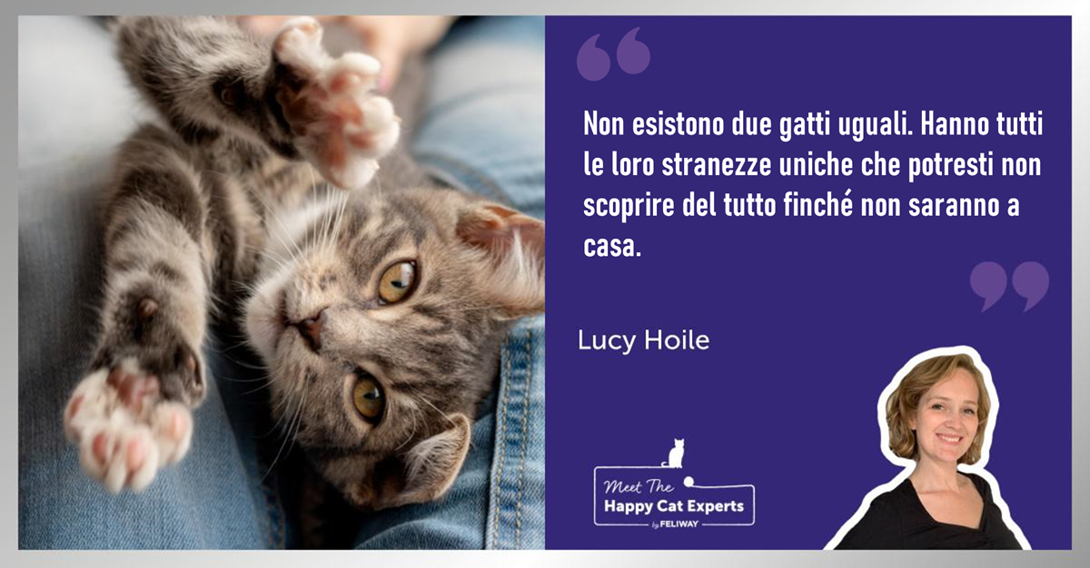 Come trovare il gatto giusto per te: lo spiega l'esperto