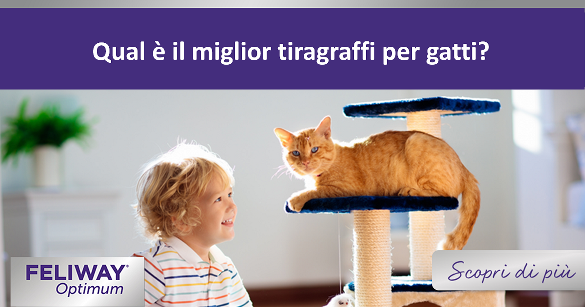 Qual è il miglior tiragraffi per gatti?